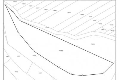 DRUMUL DRAGOSTEI - Teren intravilan 2.800 mp, acces din 2 strazi - 4