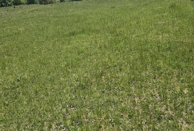 Teren de 3000 mp, în Ponor - 3