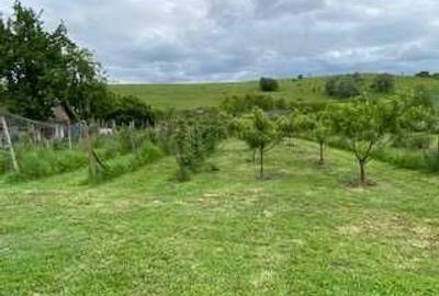 Casă cu 4 camere în Agrișteu - 8