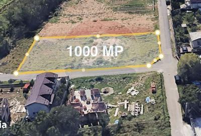 Teren de 1000 mp, în Blejoi - 4