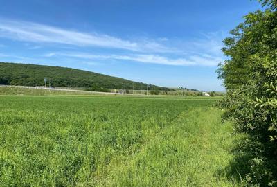 Spațiu comercial, în Apoldu de Jos - 5