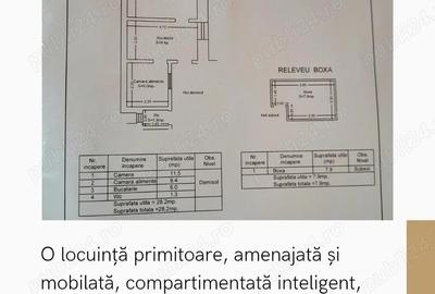Apartament cladire istorica Timisoara - investitie profitabila, la pret excelent! - 2