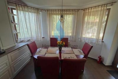 Vila individuala P+E, Bucium-T.Sarmale. - 4