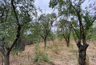 Teren 3000mp intravilan in Mavrodolu, AG - 6