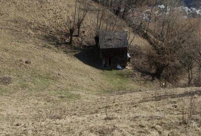 Teren de 5000 mp, în Rucăr - 1