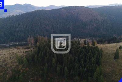 Teren situat in Frasin | BUCOVINA - 6