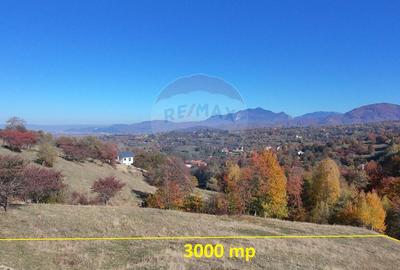 Teren valoros 2,000mp BRAN/Utilitati/Pensiune/Priveliste panoramica - 6
