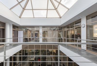 Hale depozitare/productie + Cladire de birouri | Teren 4213 m.p. | Tunari - 16