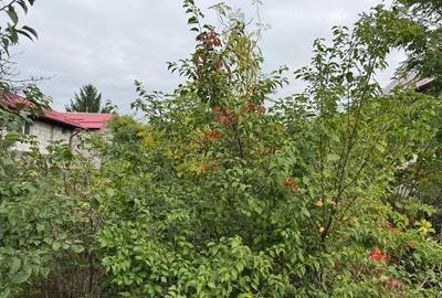 Teren intravilan Pipera I Vanzare - 4