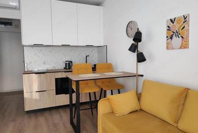 Garsoniera - Brancoveanu - 1