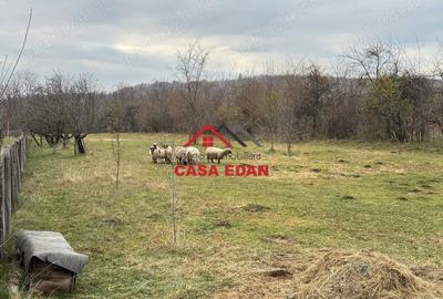 Casă cu Teren 2080 Mp în Brebu - 3