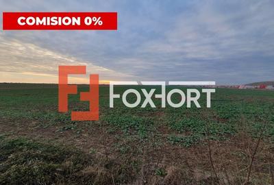 COMISION 0% Teren extravilan agricol 10.000 mp la sosea in Sag - 3