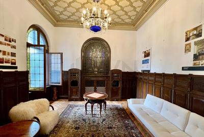 Vila superba Parcul Ioanid Vila superba Parcul Ioanid - 15