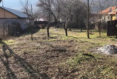 Teren în Balotești - 4