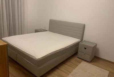 Apartament cu 2 camere decomandat în Dumbrăvița - 7