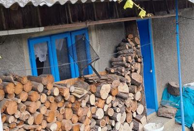 Vand casa su gradina , Baiceni , Judetul Iasi - 8