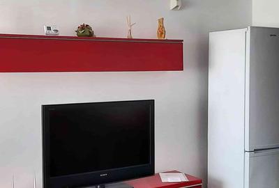 Garsoniera moderna Ultracentral - 9