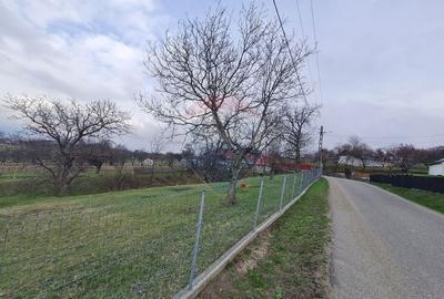 Teren intravilan la Strada Principala in Haulisca - 3