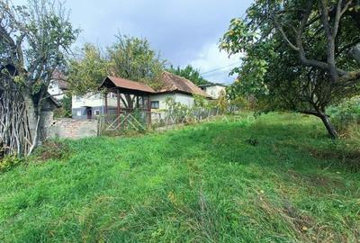 Teren autorizabil Liu | 1000mp | front 30ml | Borhanci - 9