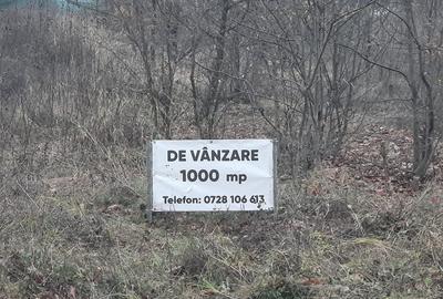 Snagov Ghermanesti - 5