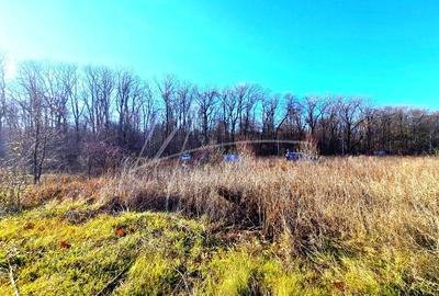 Teren intravilan, 2 fronturi, Drumul Padurea Pustnicu 65 - Greenfield - 17