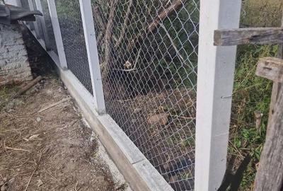 Casă cu 3 camere în Nicolae Bălcescu - 1