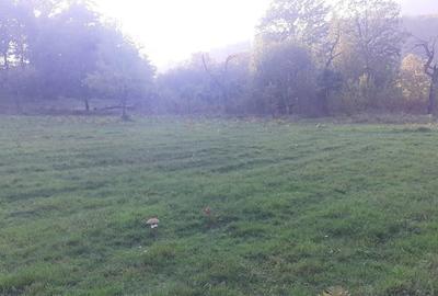 Teren de 3300 mp, în Dobra - 1