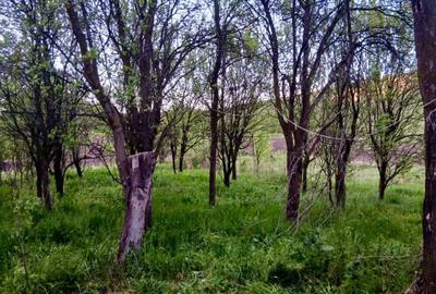 Casă cu 3 camere în Roșieni - 2