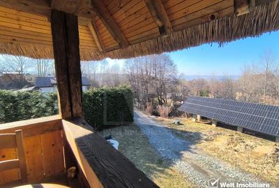 Casa rustica, exclusivista, 5 camere, 170 mp utili, 550 mp teren, Salicea - 22