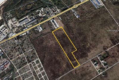 Teren de 40000 mp, în Nord - 2