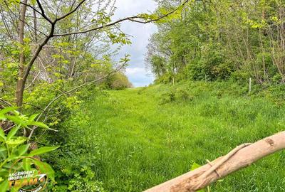 Teren Construcții intravilan de 6500 mp, în Păpăuți - 8