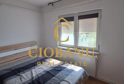 Apartament 2 camere de inchiriat zona Brazda lui Novac - 7