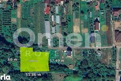 Teren de 3000 mp, în Recea - 3