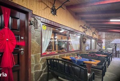 Casă cu 8 camere cu Teren 1500 Mp în Văliug - 17