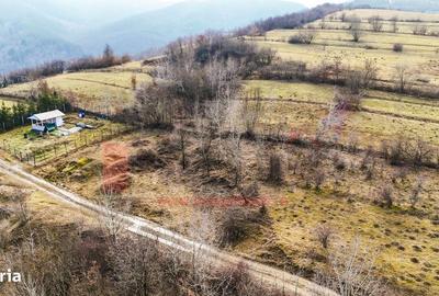 Spațiu comercial, în Cisnădioara - 4