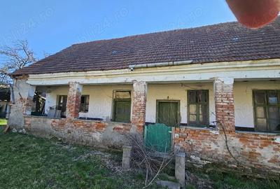 Casă cu Teren 4000 Mp în Central