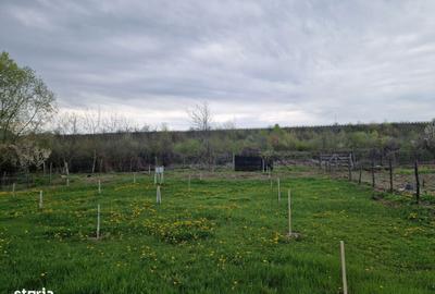 Spațiu comercial, în Moțăieni - 1