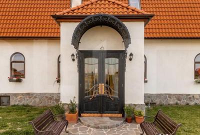 Casă cu 7 camere cu Teren 3000 Mp în Central - 2