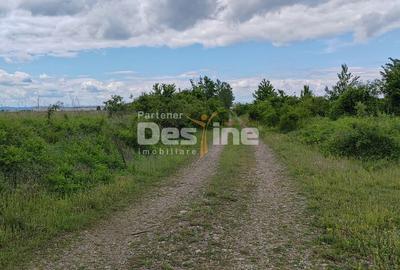 Spațiu comercial, în Nedelea - 2