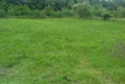 Teren de 2473 mp, în Bălteni - 4