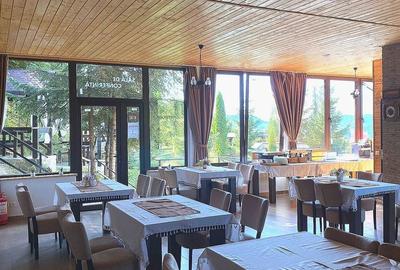 Casă cu Teren 2600 Mp în Moisei - 4
