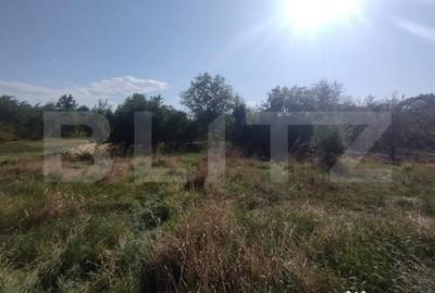 Casă cu 4 camere cu Teren 6700 Mp în Dorolea - 5