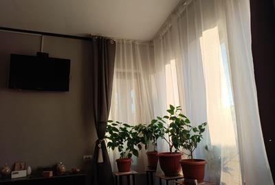 Cornetu-Casa individuala - 3