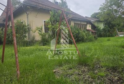 Proprietate cu potential turistic in Gurahont - 25