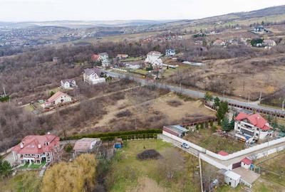 Teren agricol extravilan de 2457 mp, în Bucium - 4