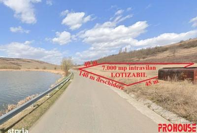 Teren de 7000 mp, în Găiceana - 1