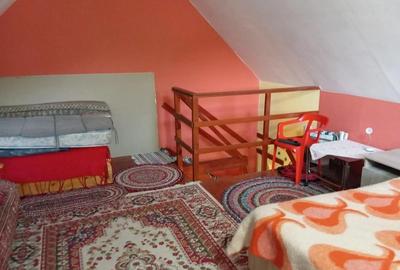 Casă cu 2 camere cu Teren 250 Mp în Ozun - 2