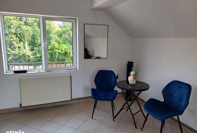 Spațiu comercial, de 40 mp, în Cornu - 1