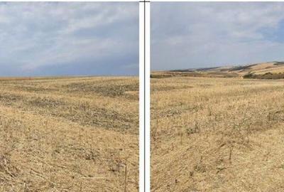 Teren de 21440 mp, în Negureni - 9