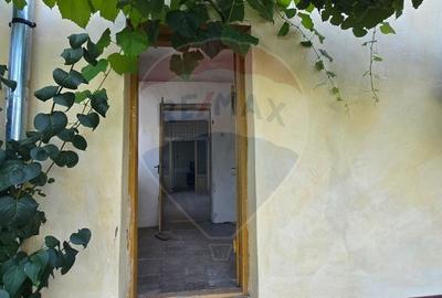 Casa de vanzare in Graniceri aproape de Arad - 21